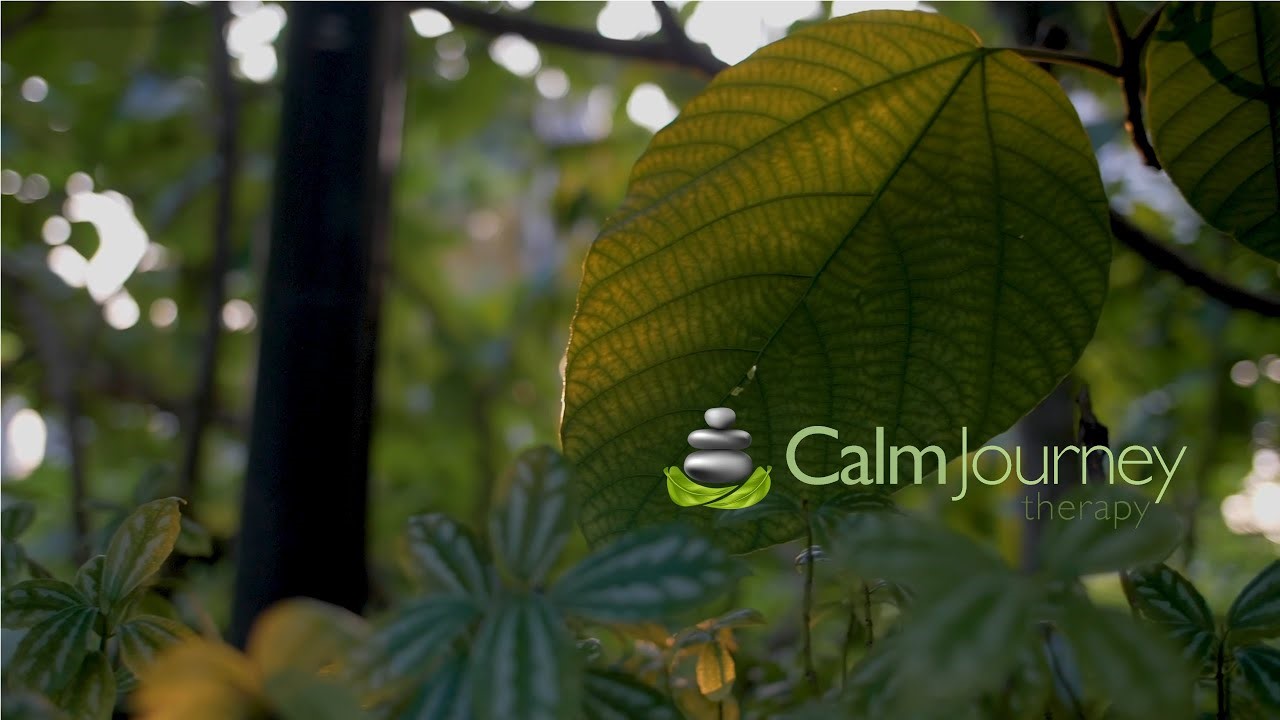 Calm Journey