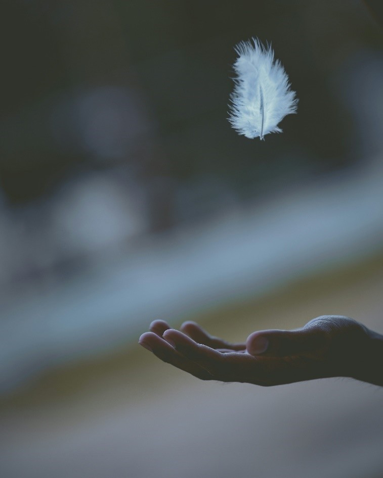 Feather